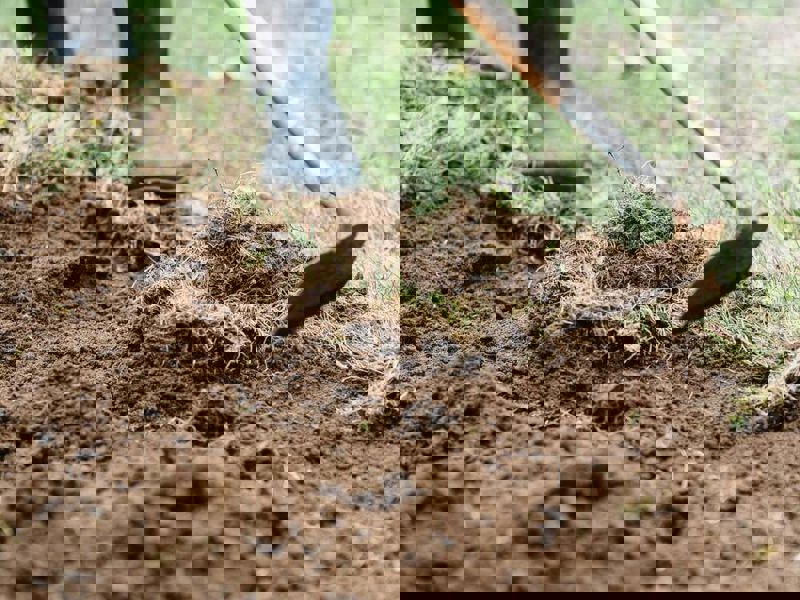 Pexels Photo 7728016