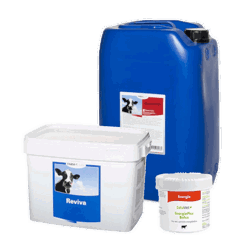 Nahrungsergänzungsmittel